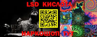 прущие грибы Будённовск