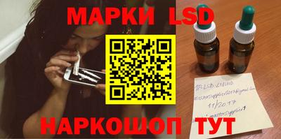 прущие грибы Будённовск