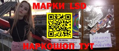 прущие грибы Будённовск