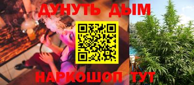 прущие грибы Будённовск