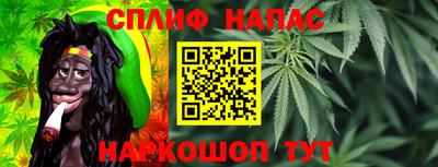 прущие грибы Будённовск