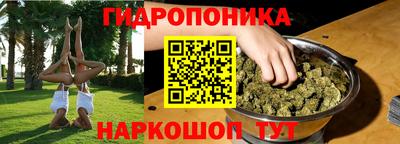 прущие грибы Будённовск