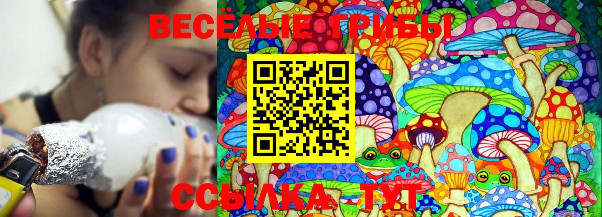 наркошоп  Вход с VPN  Сафоново  Галлюциногенные грибы GOLDEN TEACHER 