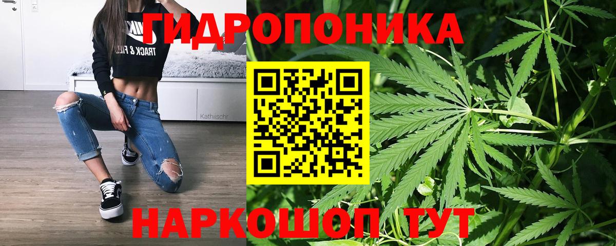 Конопля планчик Сафоново